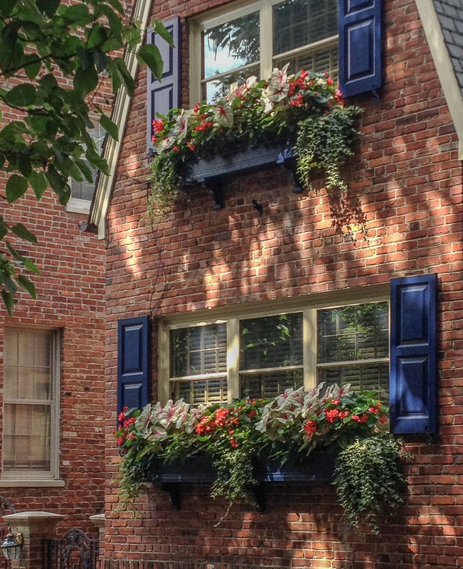 Window boxes with annuals create color where there is no front yard. : Annual Rotations : CITYSCAPES® Landscaping LLC